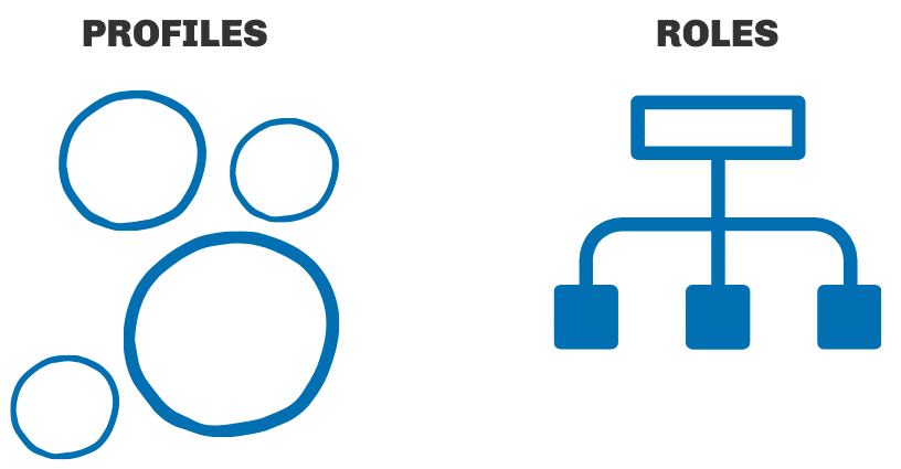 Salesforce Roles vs Profiles

