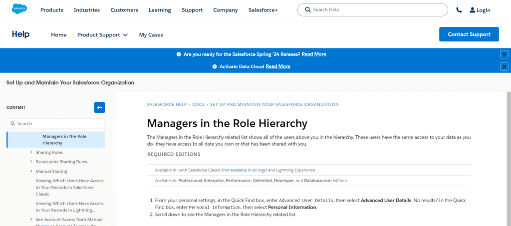 Salesforce Program Manager
