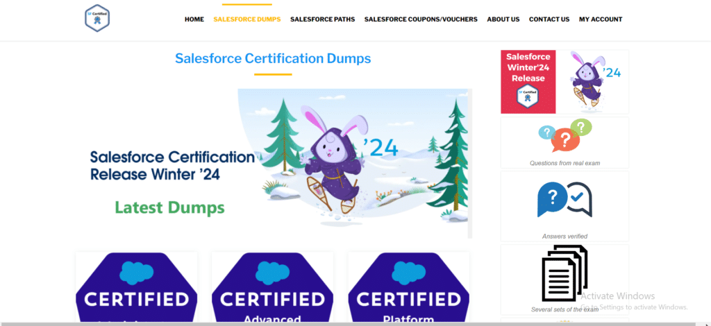 Salesforce Certification Dumps